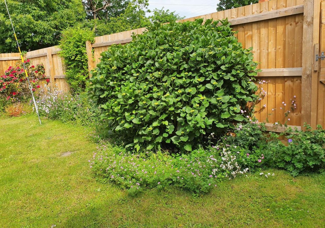 Forest Farm Papplewick Nottingham - Spacious Self-Contained Rural Retreat! المظهر الخارجي الصورة