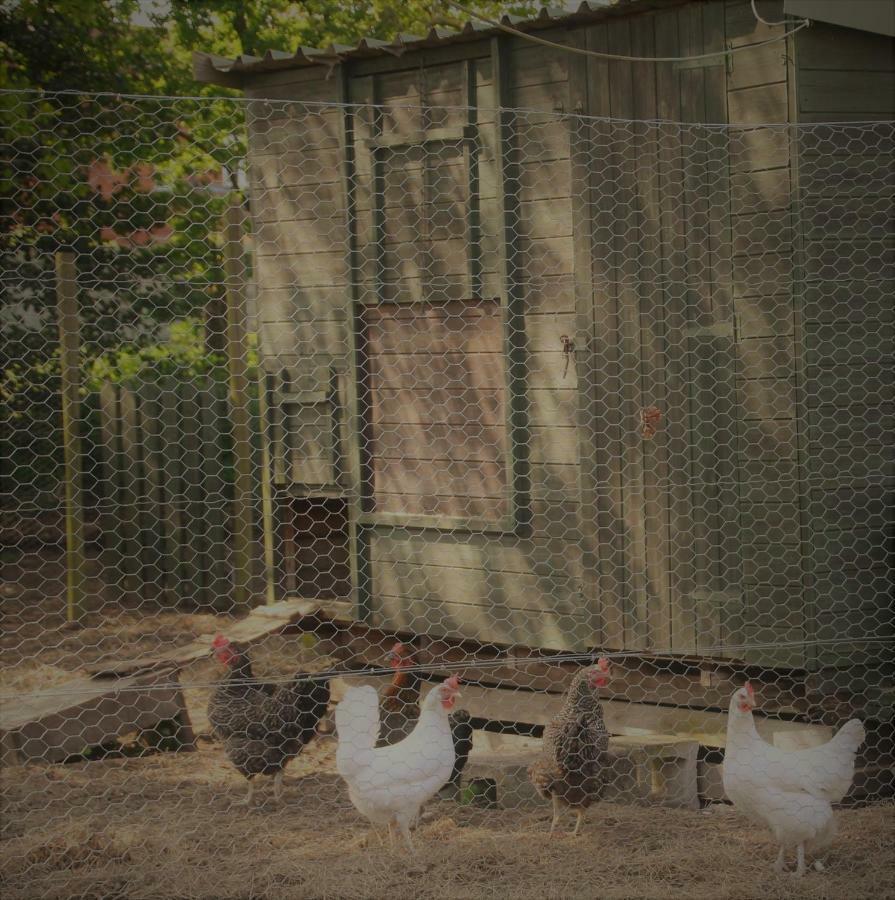 Forest Farm Papplewick Nottingham - Spacious Self-Contained Rural Retreat! المظهر الخارجي الصورة